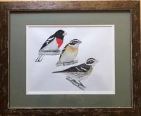 Gouache watercolor painting by famed local birder and naturalist, Cin-Ty Lee 202//166